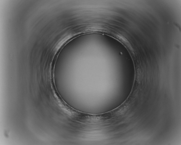 X0000100871039200806271108