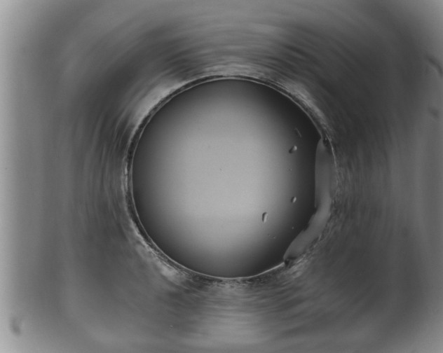 X0000100871040200806271108