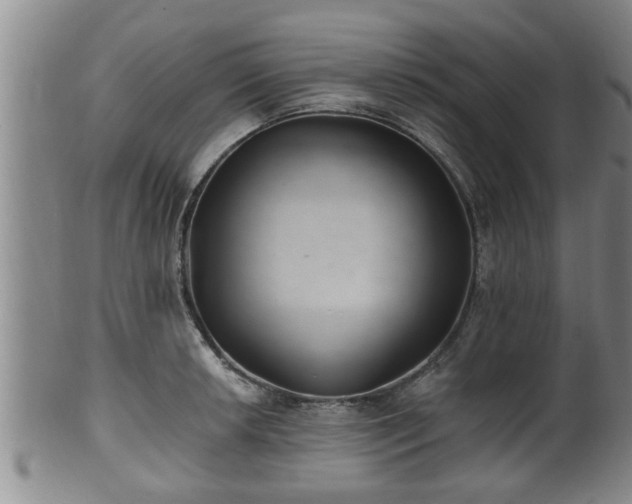 X0000100871042200806271108