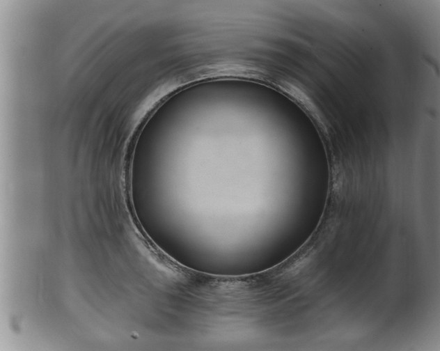 X0000100871043200806271108