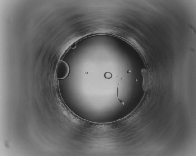 X0000100871044200806271108