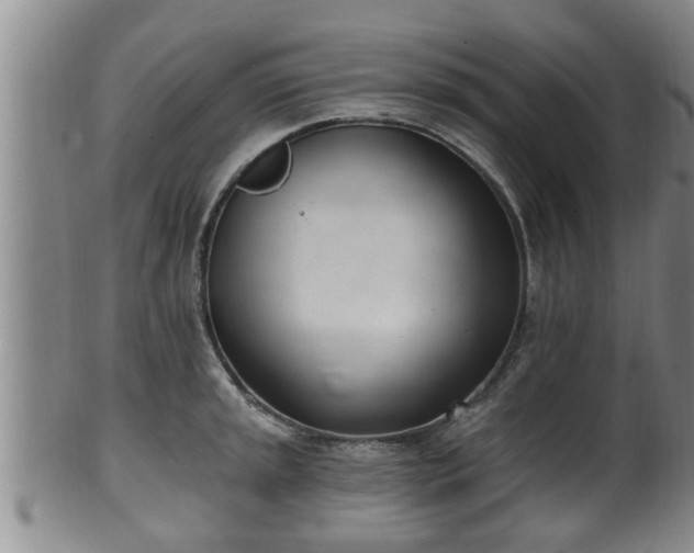 X0000100871045200806271108