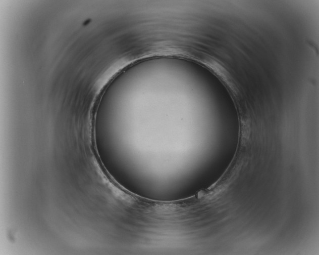 X0000100871046200806271108