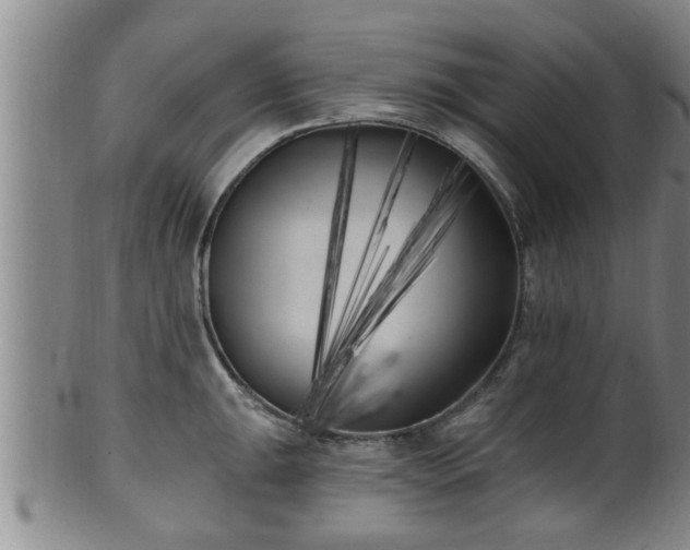 X0000100871047200806271108
