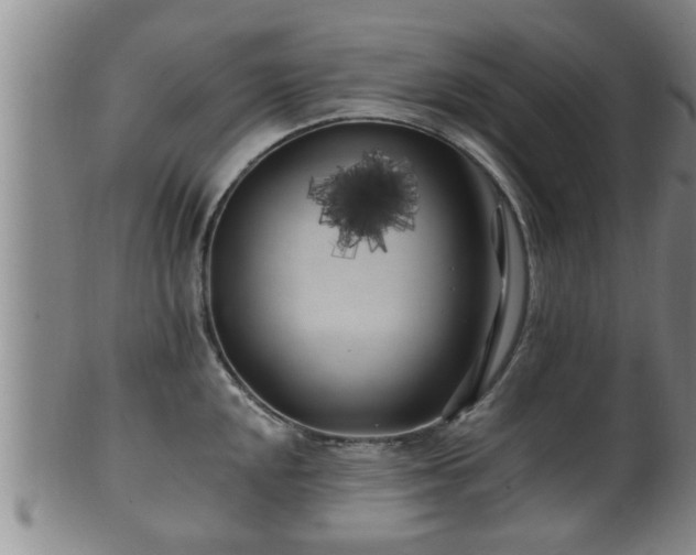 X0000100871048200806271108
