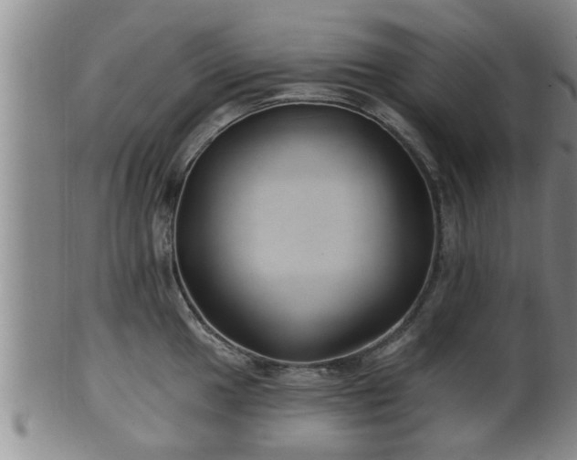 X0000100871049200806271108