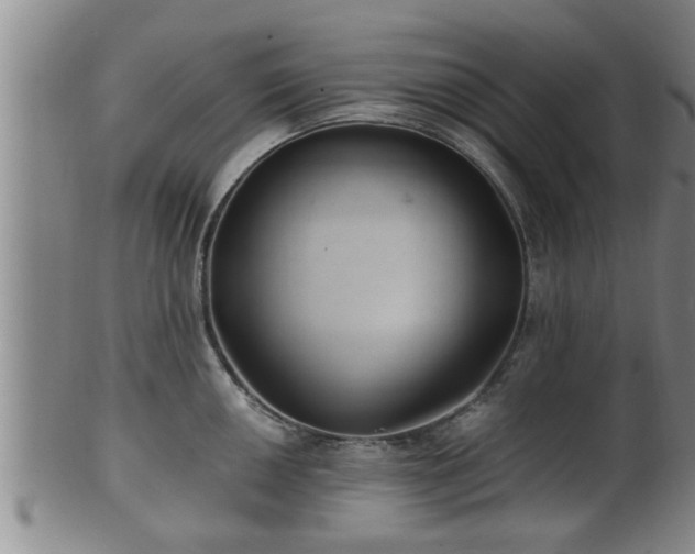 X0000100871050200806271108