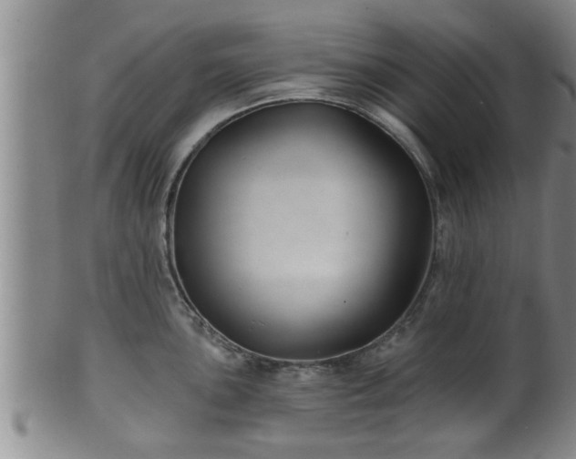 X0000100871051200806271108