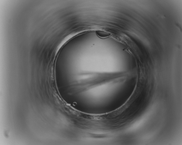 X0000100871052200806271108