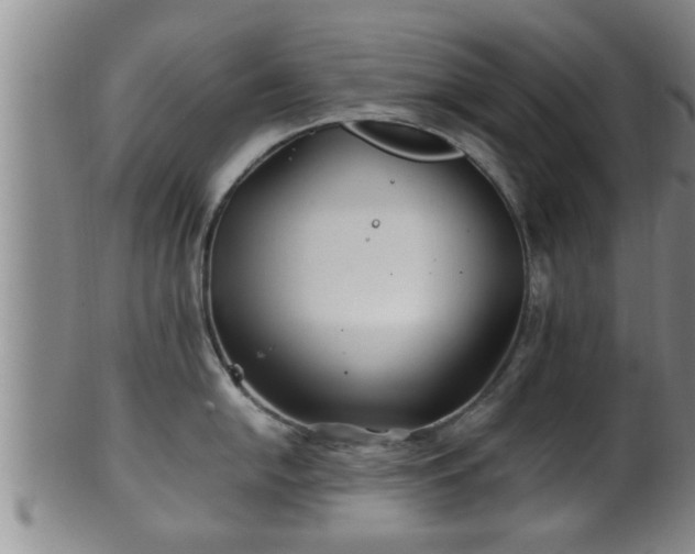 X0000100871054200806271108