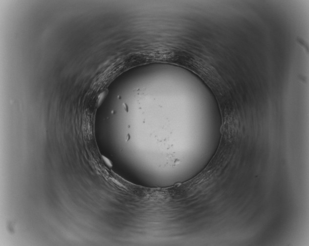 X0000100871058200806271107