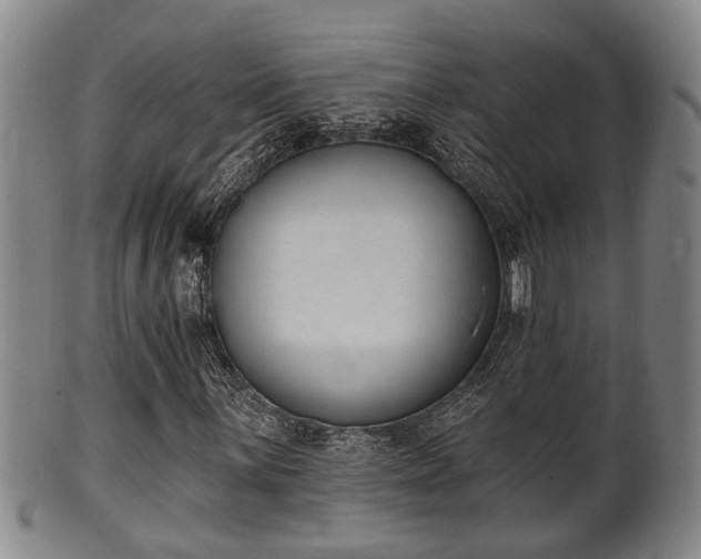 X0000100871059200806271107