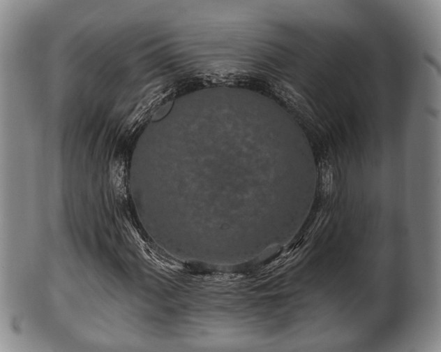 X0000100871060200806271107