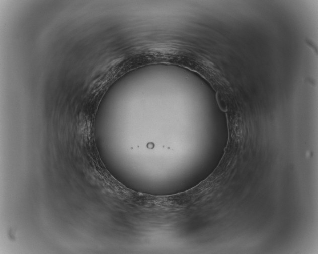 X0000100871061200806271107