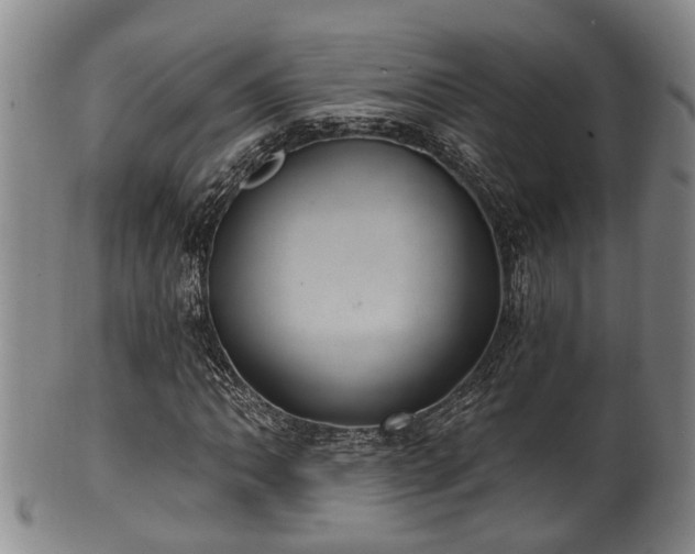 X0000100871062200806271107