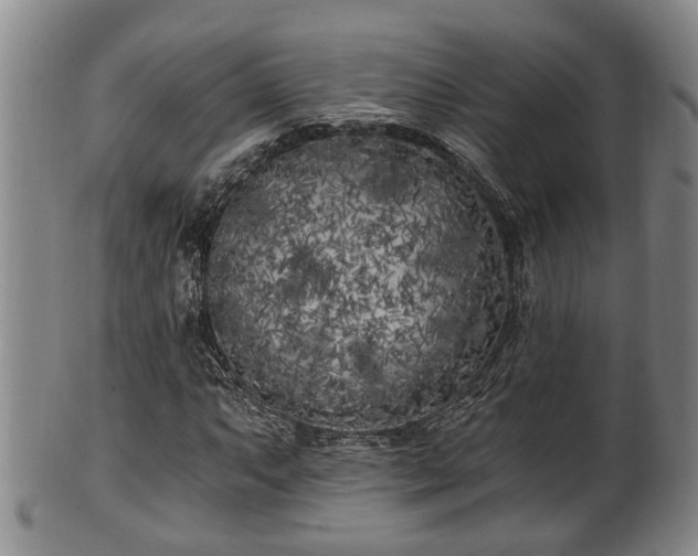 X0000100871063200806271107