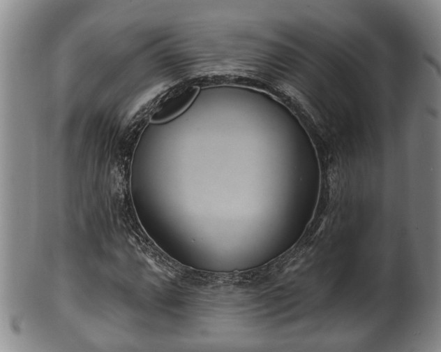 X0000100871064200806271107