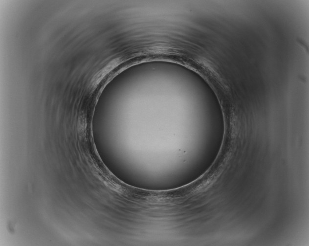 X0000100871065200806271107