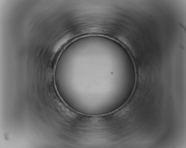 X0000100871067200806271107