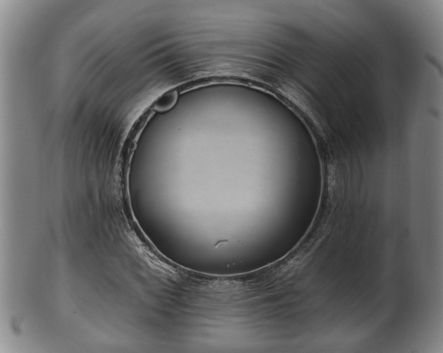 X0000100871068200806271107