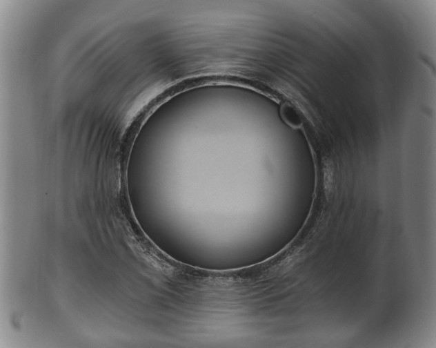 X0000100871069200806271107