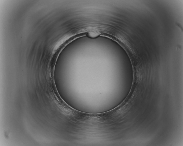 X0000100871070200806271107