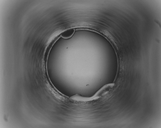 X0000100871072200806271107