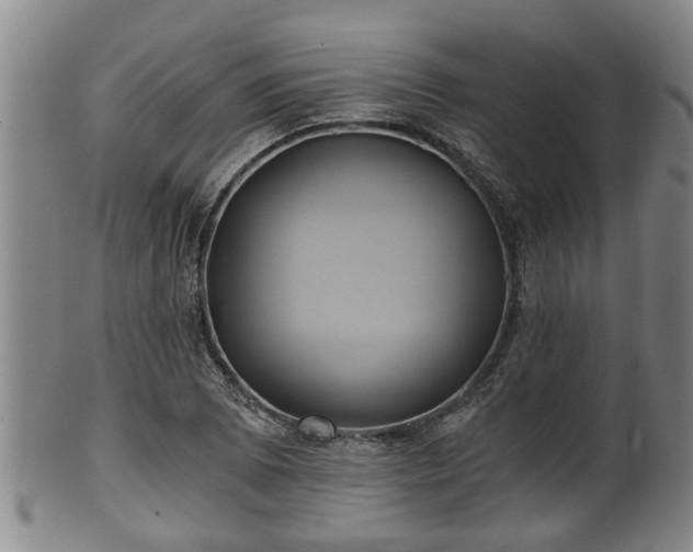 X0000100871073200806271107