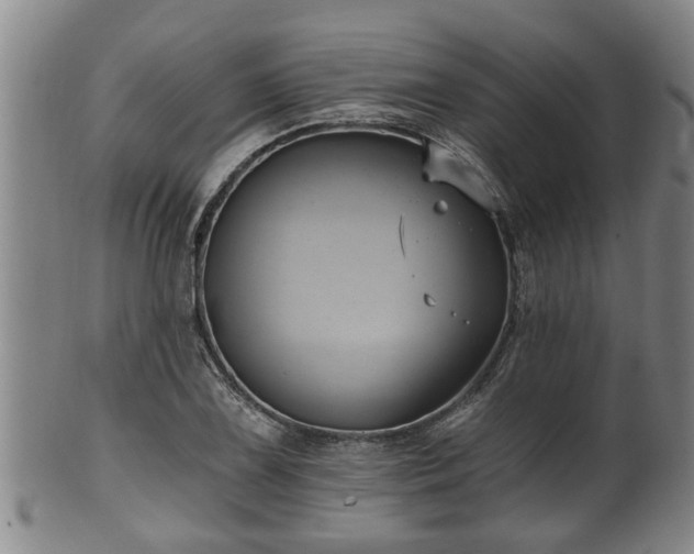 X0000100871075200806271107