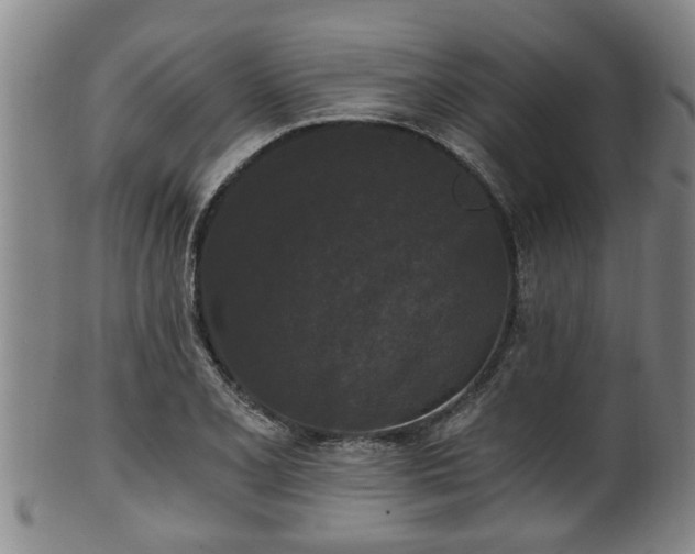 X0000100871077200806271107