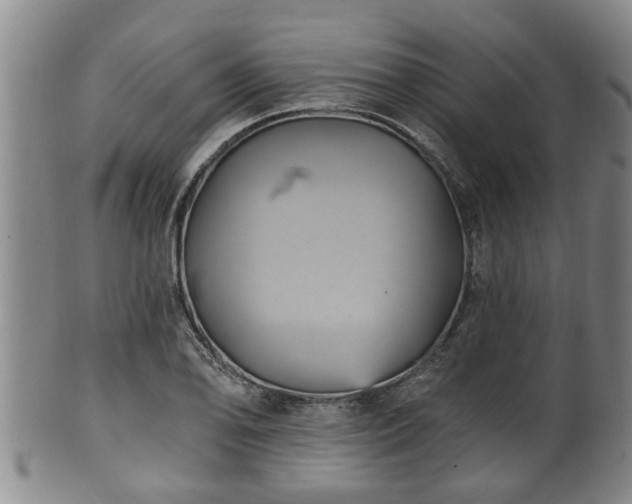 X0000100871078200806271107