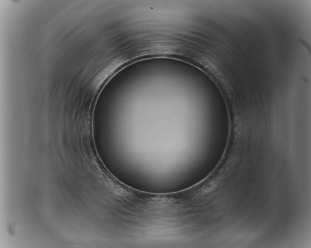 X0000100871081200806271107