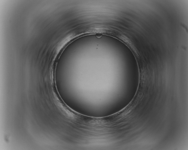 X0000100871083200806271107