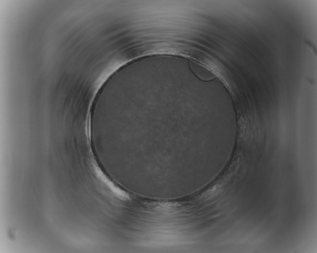 X0000100871084200806271107