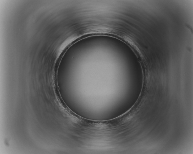 X0000100871085200806271107