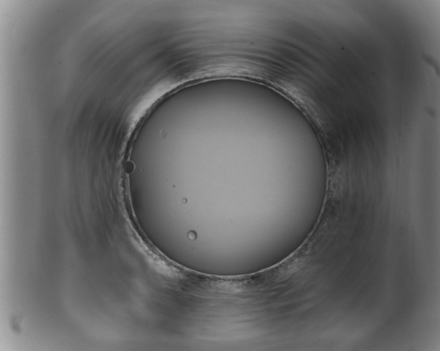 X0000100871086200806271107