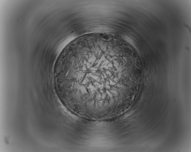 X0000100871087200806271107