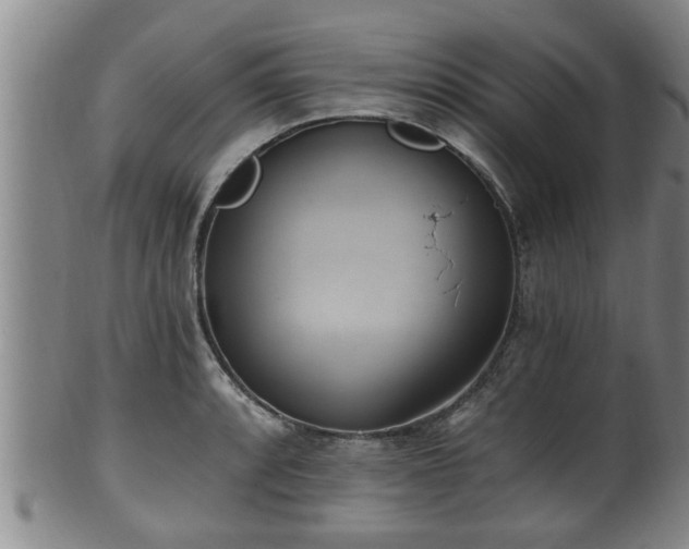 X0000100871088200806271107