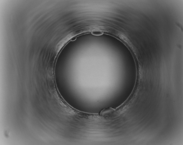 X0000100871089200806271107