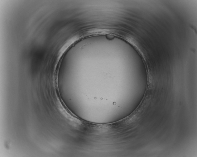 X0000100871090200806271107