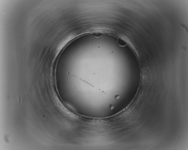 X0000100871091200806271107