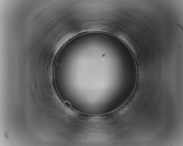 X0000100871093200806271107