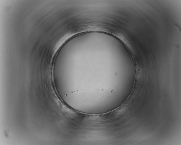 X0000100871094200806271107