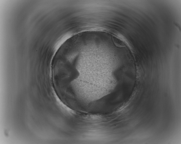 X0000100871095200806271107