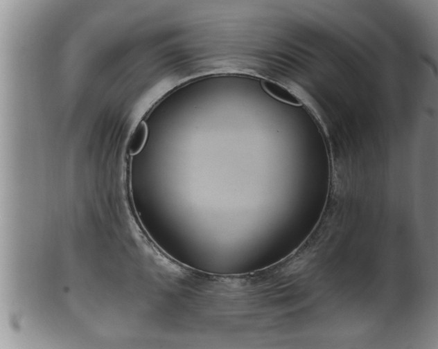 X0000100871096200806271107