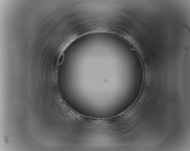 X0000100871097200806271107