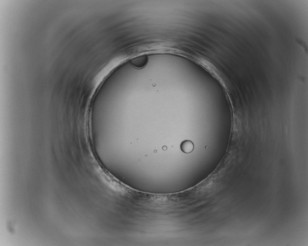 X0000100871098200806271107