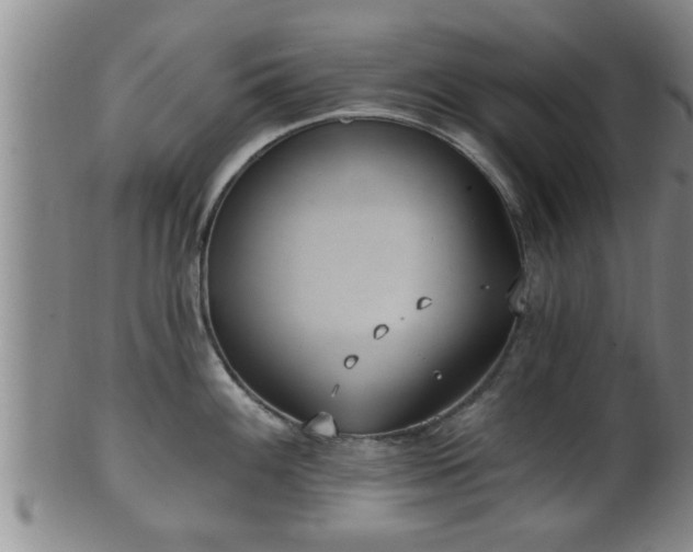 X0000100871100200806271107