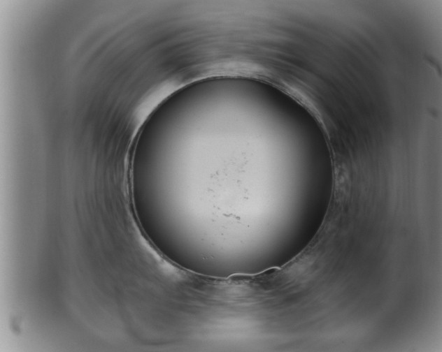 X0000100871103200806271107