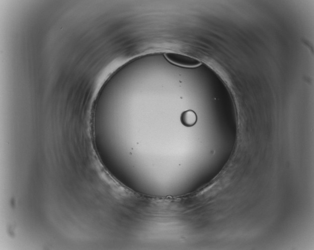 X0000100871104200806271107